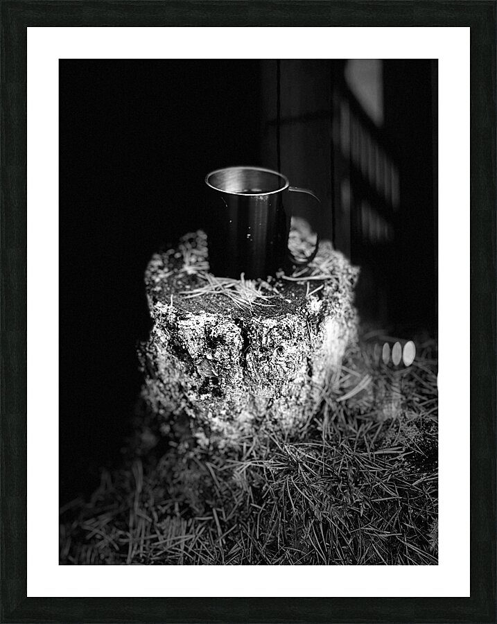 Scenes from the Trail- Mug in Black and White Picture Frame print