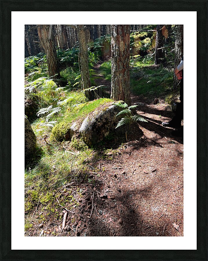 Scenes from the Trail- On the Edge Picture Frame print