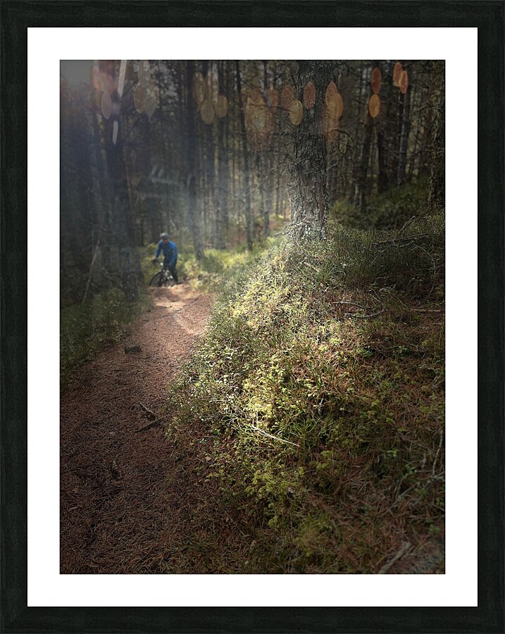 Scenes from the Trail  Unexpected Meetings  Picture Frame print