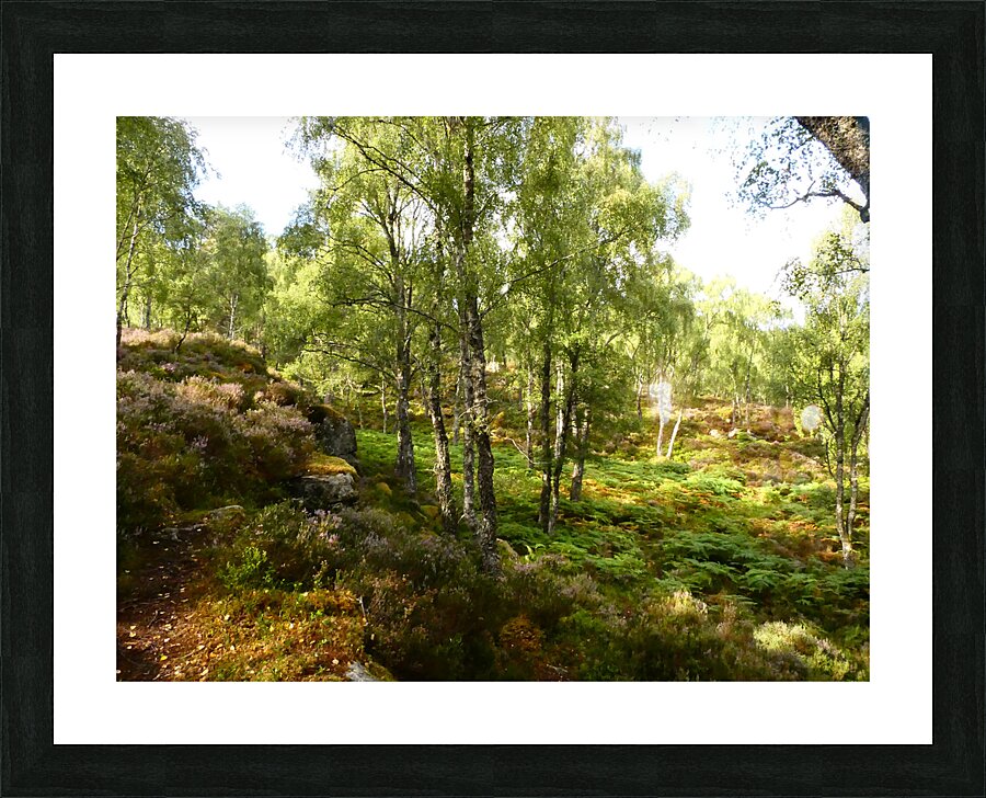 Spring Calls for the Scottish Highlands Picture Frame print
