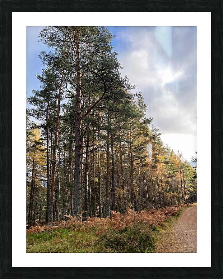 Autumnal Serenity in the Scottish Highlands Picture Frame print