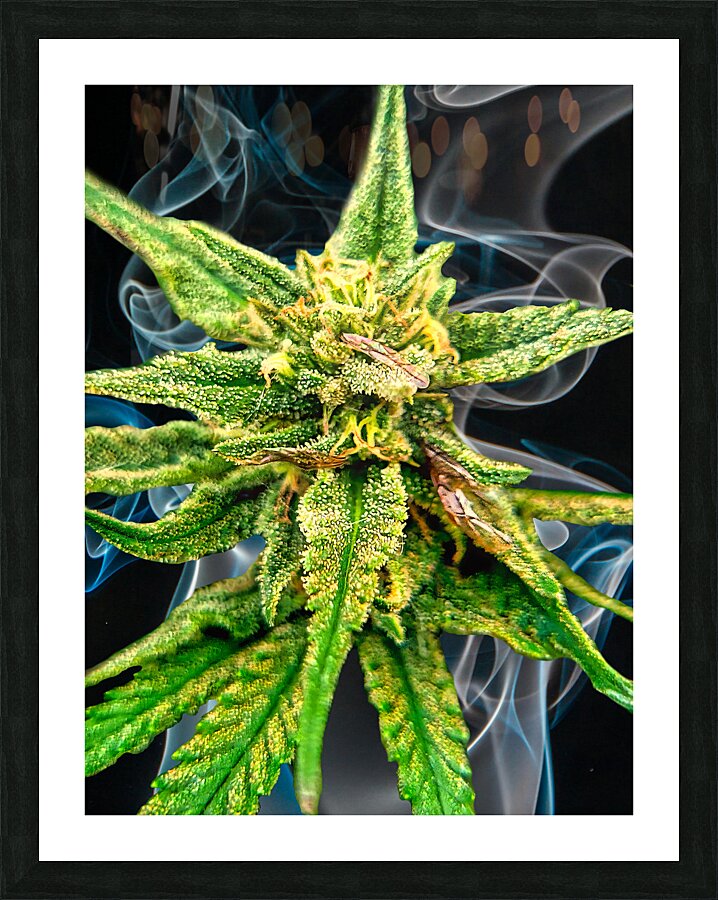 Bud TripleG Picture Frame print