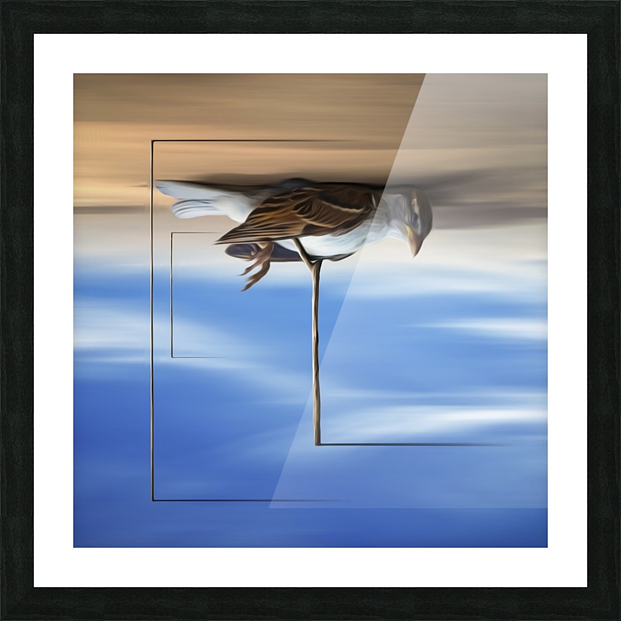 Avis Rara Picture Frame print