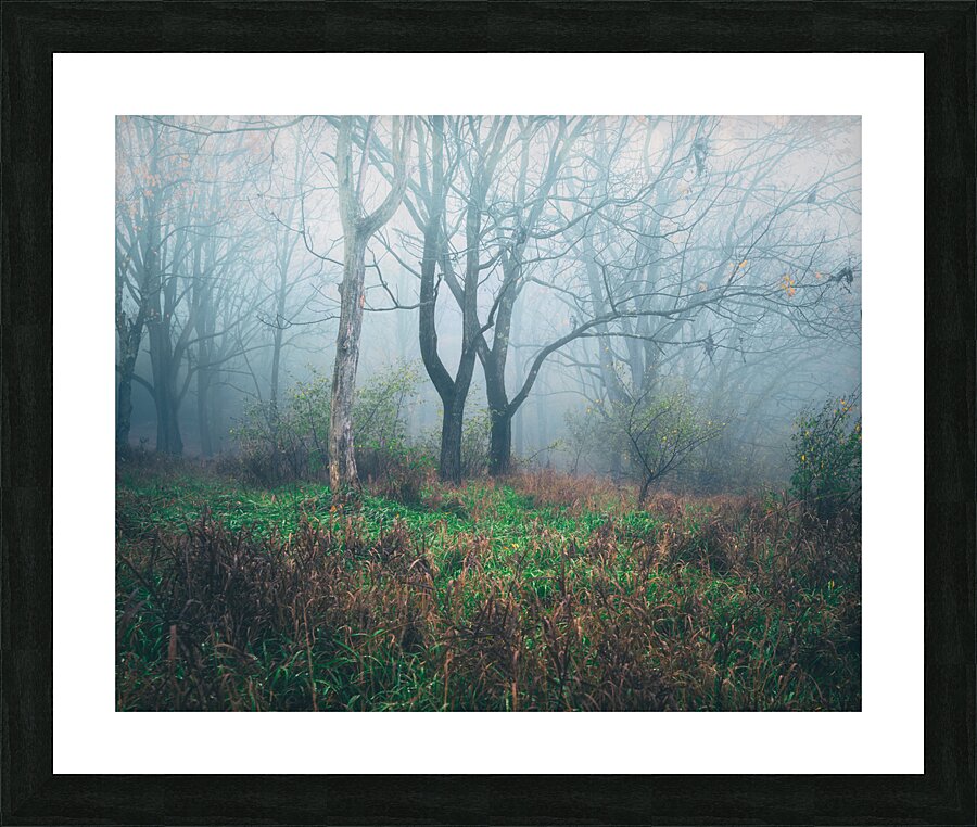 Cool Autumn Fog Trexler Nature Preserve Picture Frame print