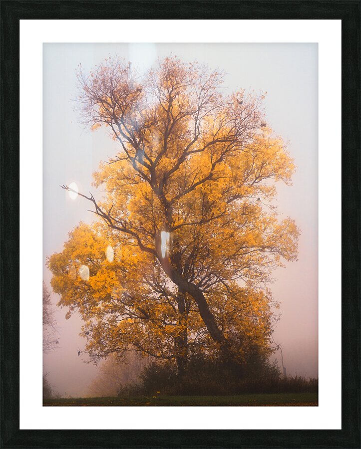 Yellow Autumn Picture Frame print