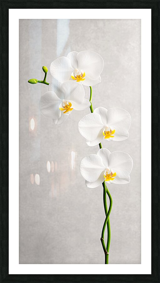 Orchid on Grey Picture Frame print