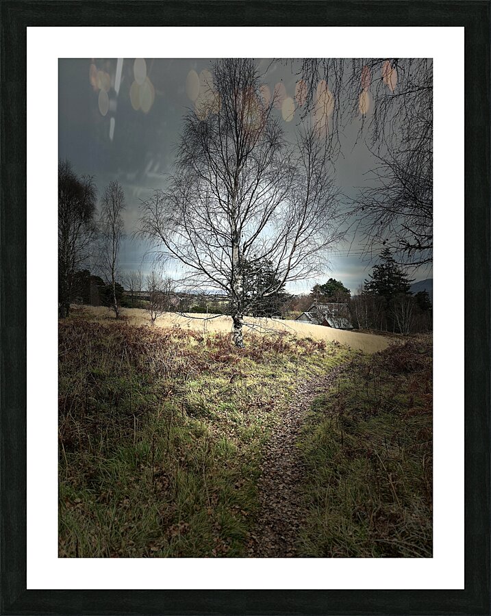 Scenes from the Trail- Scottish Countryside Picture Frame print