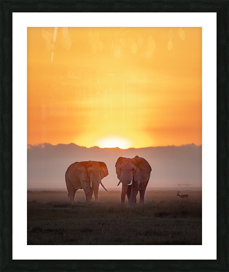 Sunset Stroll Picture Frame print