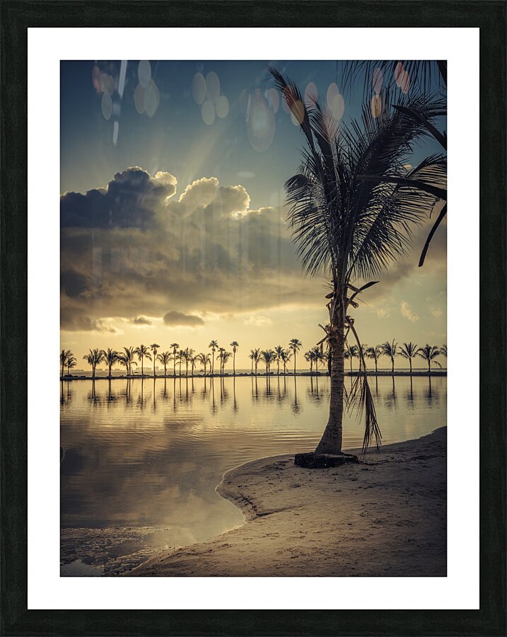 Celestial Rays over Tropical Tranquility Picture Frame print