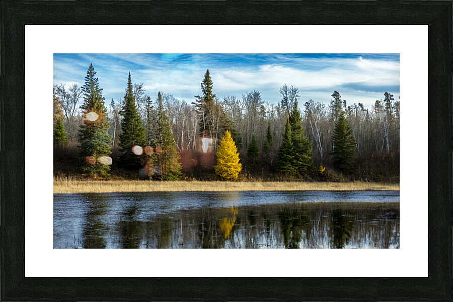 Tamarack Reflection Picture Frame print