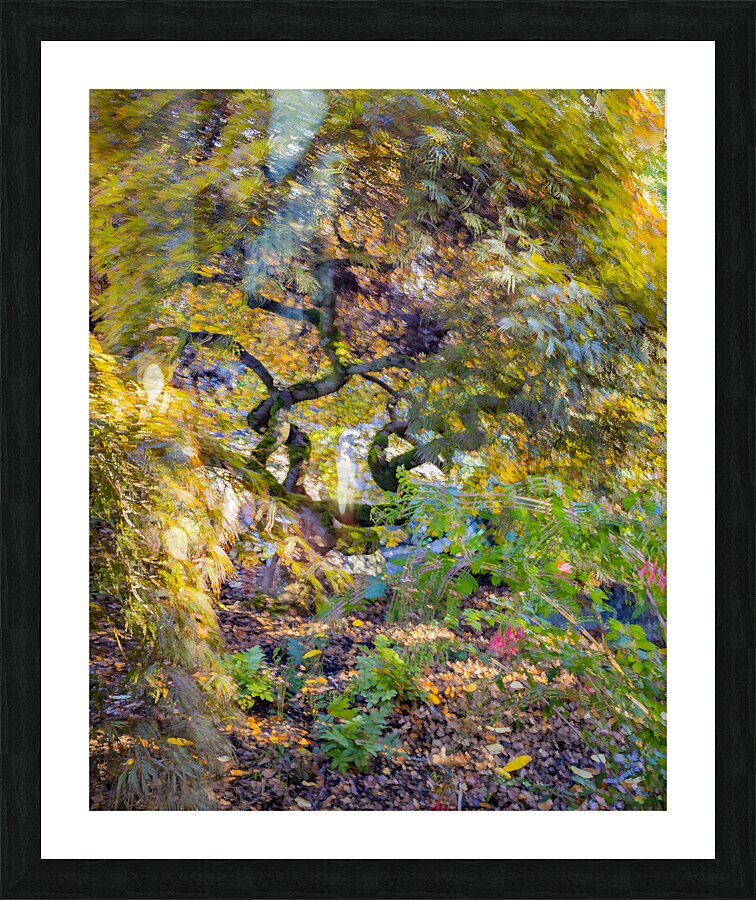 Autumn Abstract V Picture Frame print