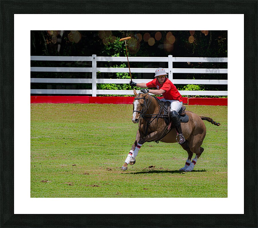 BZ9 3973 Enhanced NR Picture Frame print