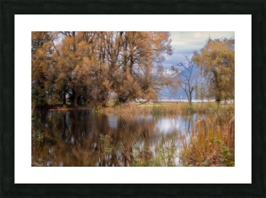 Autumn Glow Picture Frame print