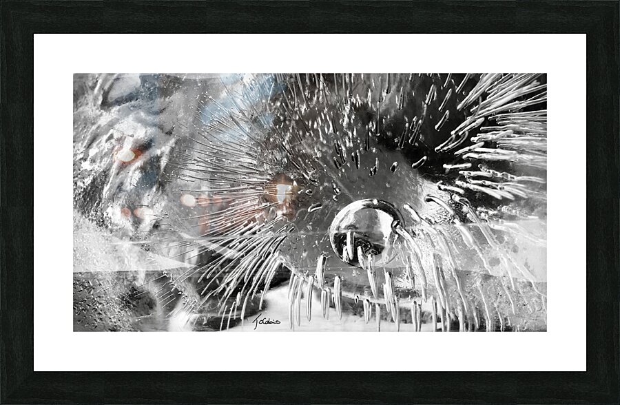 Eau glacee  Picture Frame print