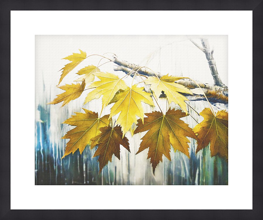 Leaves Almost Gone Picture Frame print