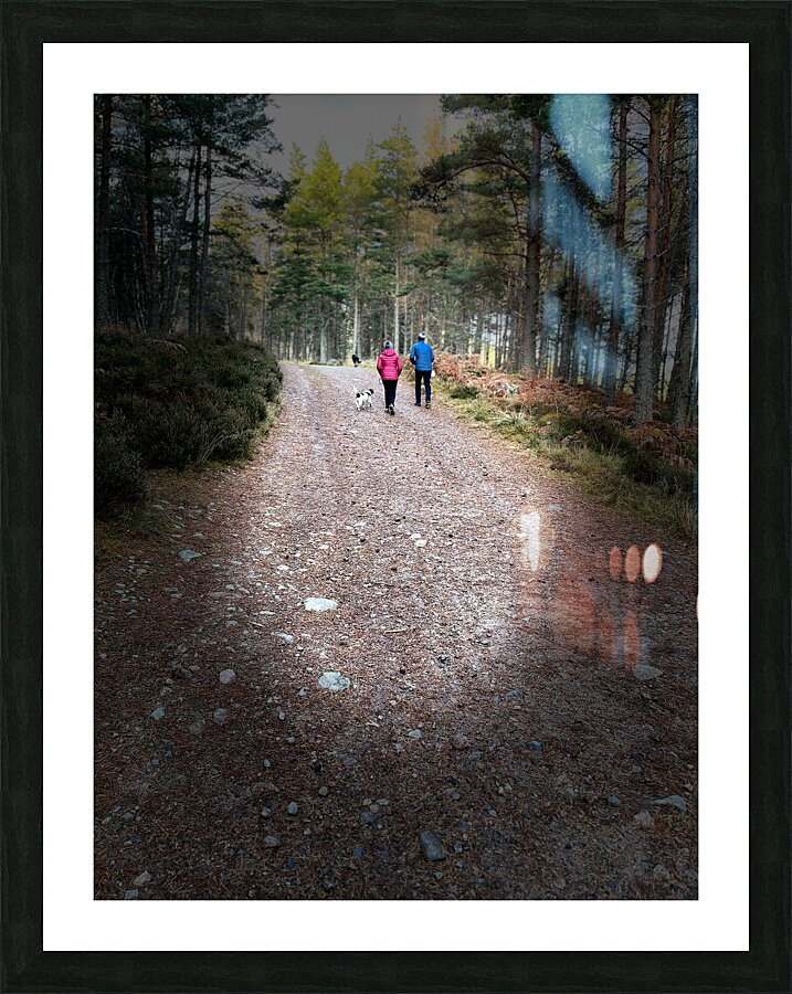 Scenes from the Trail- Autumn Dog Walk    Picture Frame print