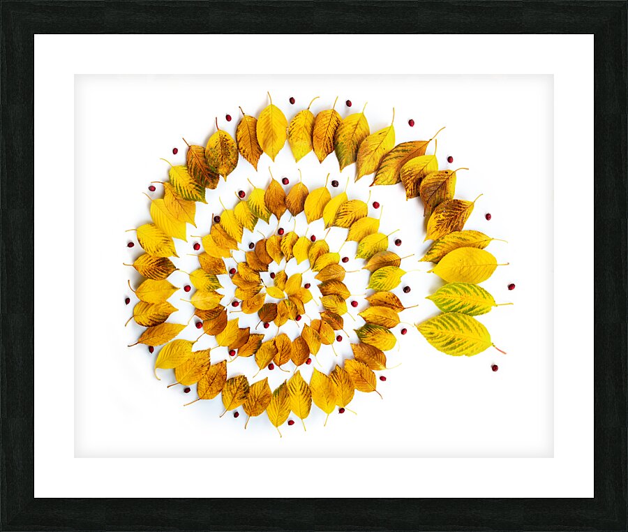 Autumnal leaves spiral Picture Frame print
