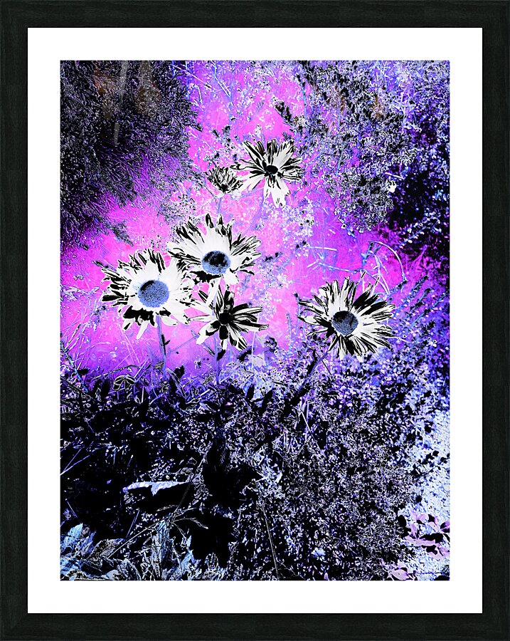 Abstract Vivid Daisy Flowers Picture Frame print