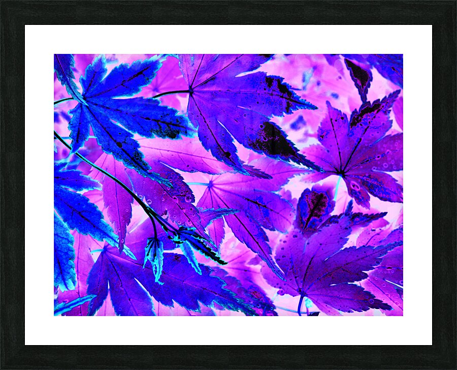 Abstract Neon Purple and Blue Creative Leaves  Picture Frame print