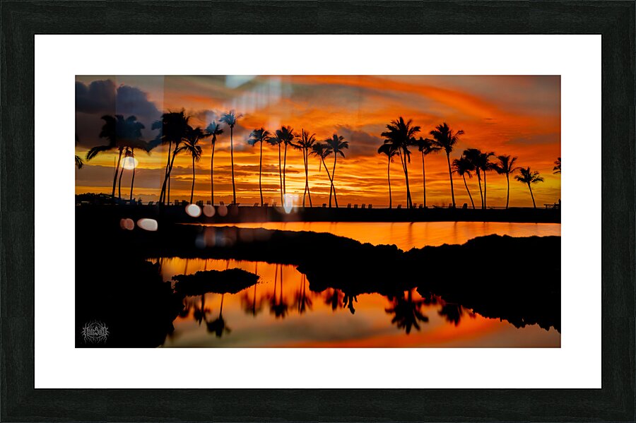 Why Koloa  Picture Frame print