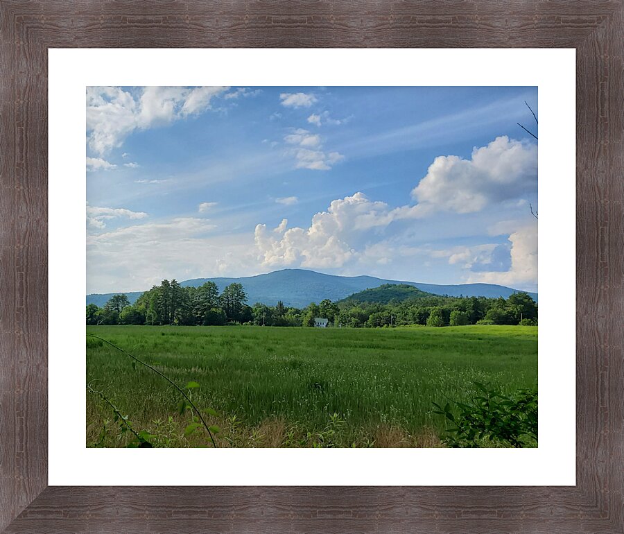  Fine Art print