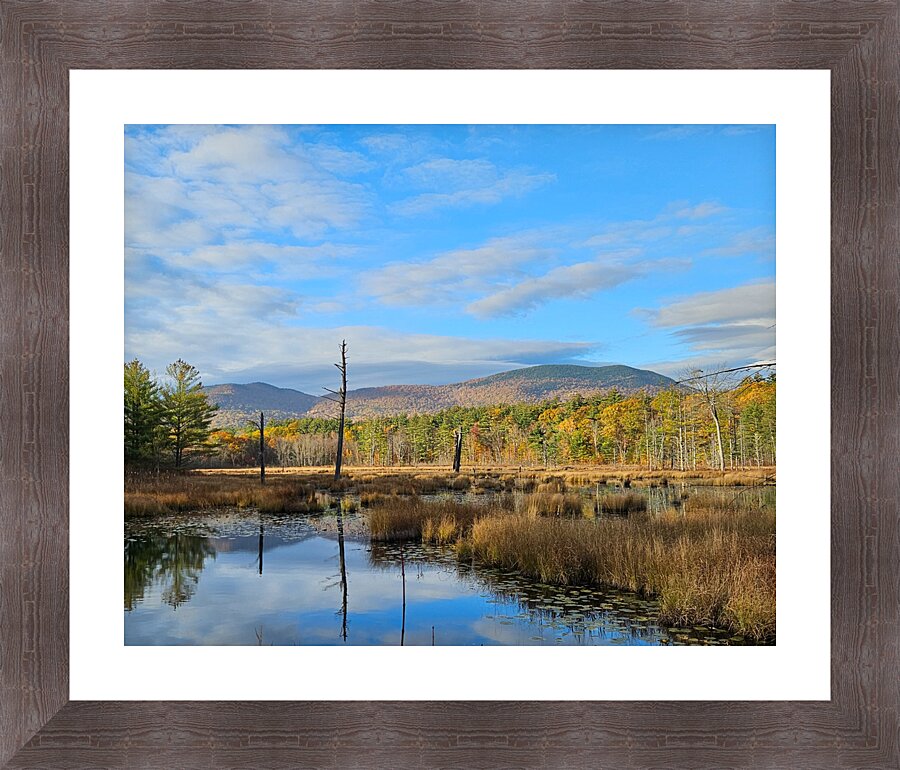  Fine Art print