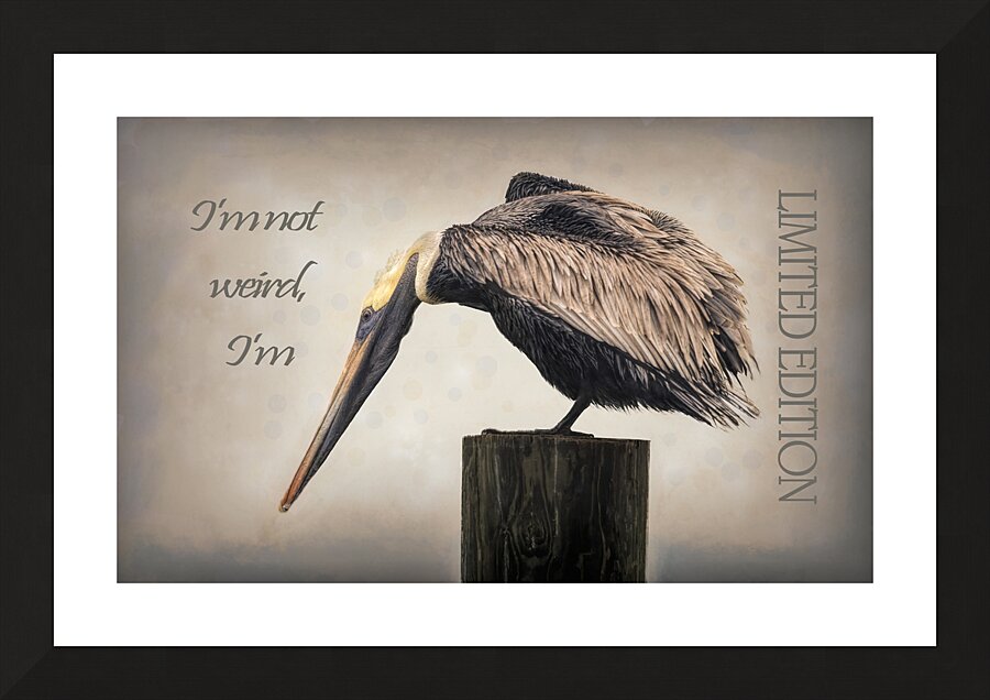  Not Weird But Limited Edition Picture Frame print