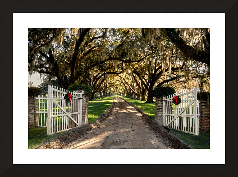 Tomotley   Plantation Christmas  Picture Frame print