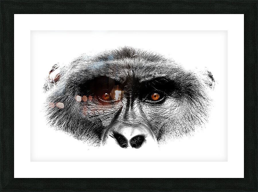 Gaze of Bahati B&W Picture Frame print