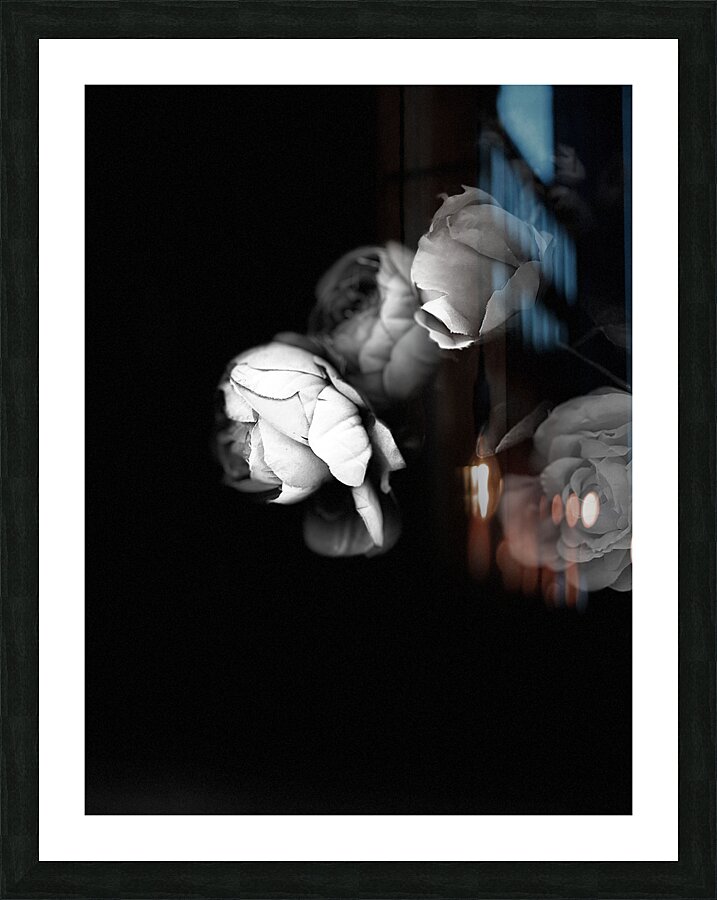 Portrait of Plants- Delicate Roses in Black and White Picture Frame print