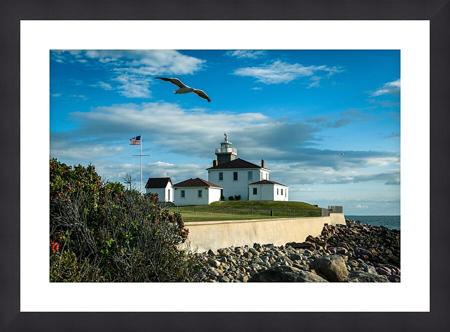 Seagull Flies Near Watch Hill Lighthouse in Rhode Island Picture Frame print