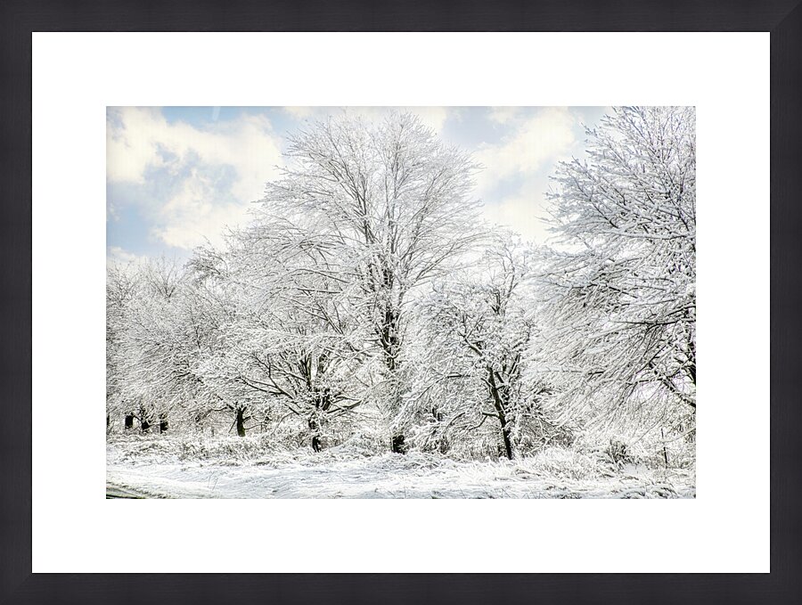 Wrapped in a Blanket of Ice Picture Frame print