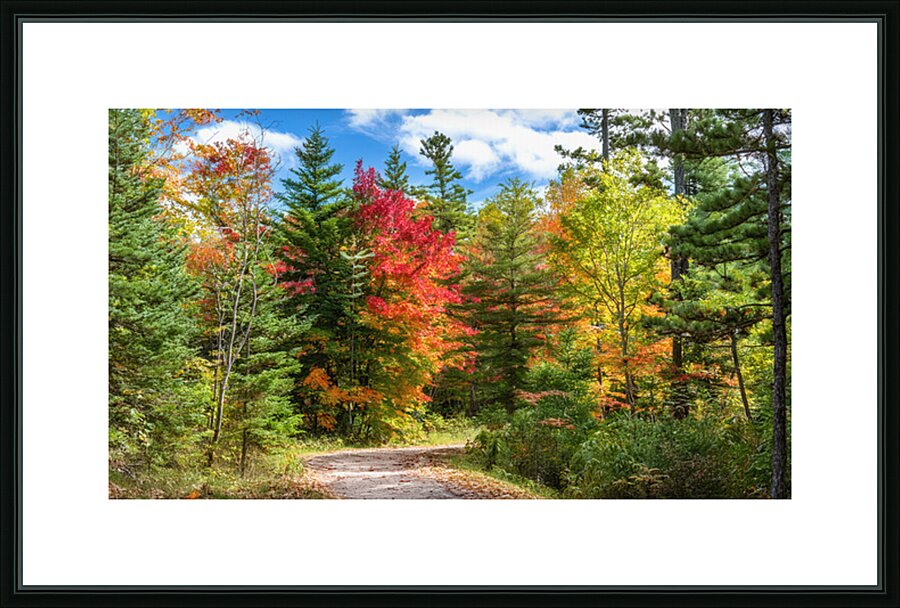 A Dirt Road Less Travelled Picture Frame print
