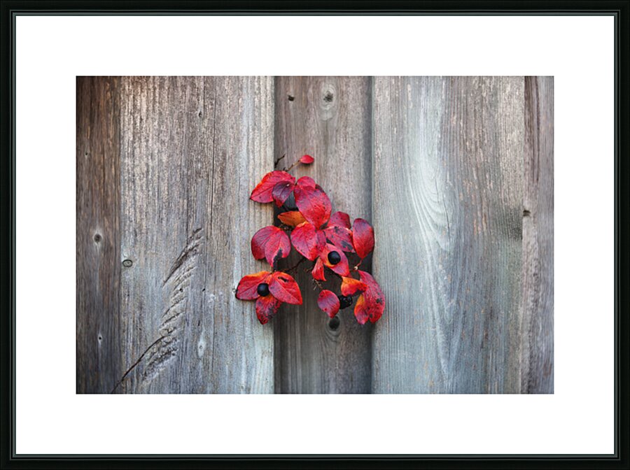 Back on Your Own Side Picture Frame print