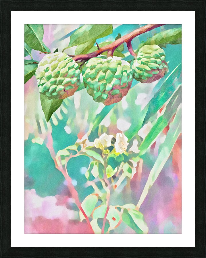 Pomme Cannelle Picture Frame print