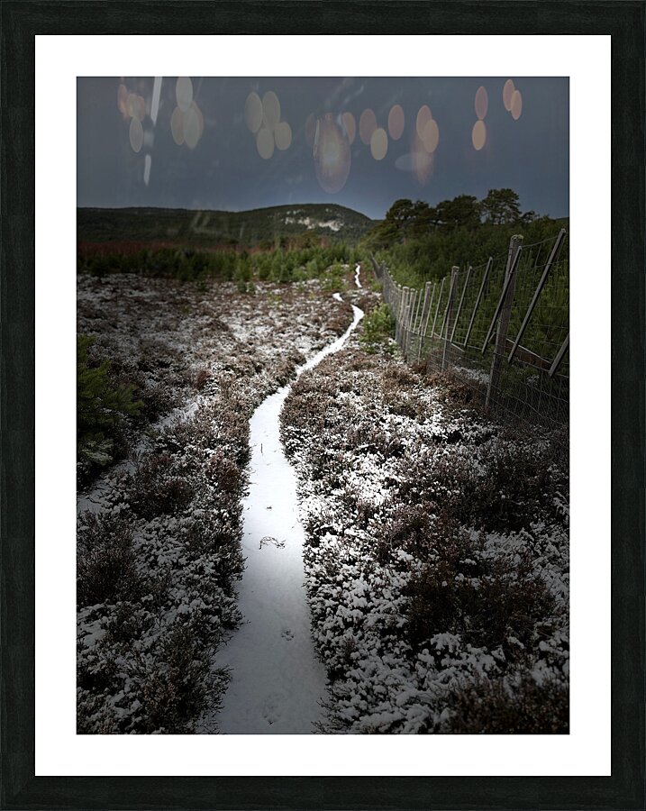 Scenes from the Trail- Snowy Path Picture Frame print