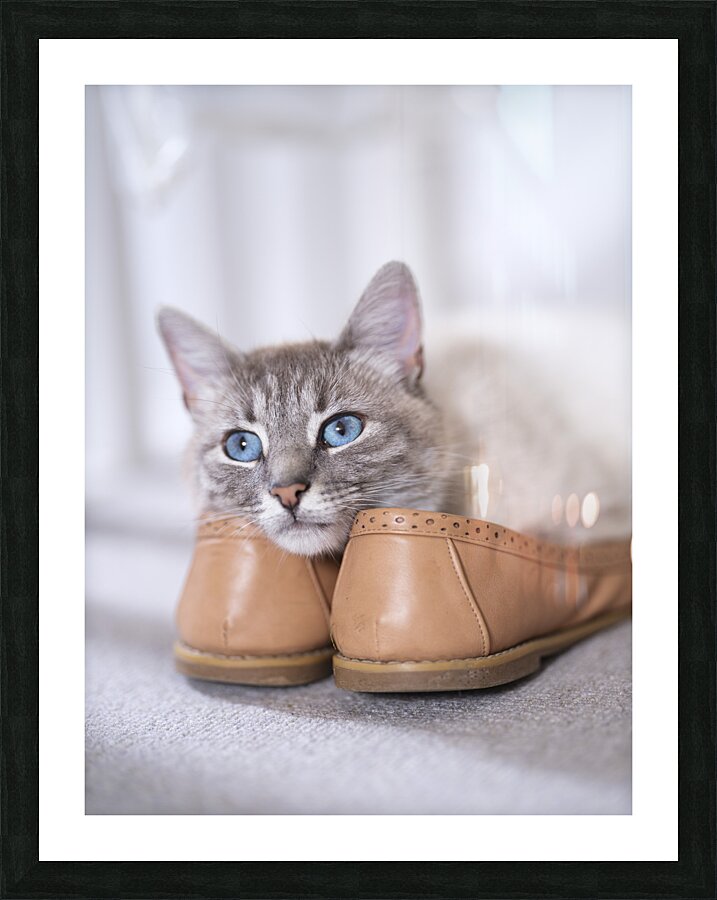  Fine Art print