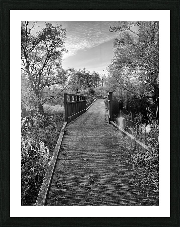 A Frosty Nature Walk Through The Scottish Highlands  Picture Frame print
