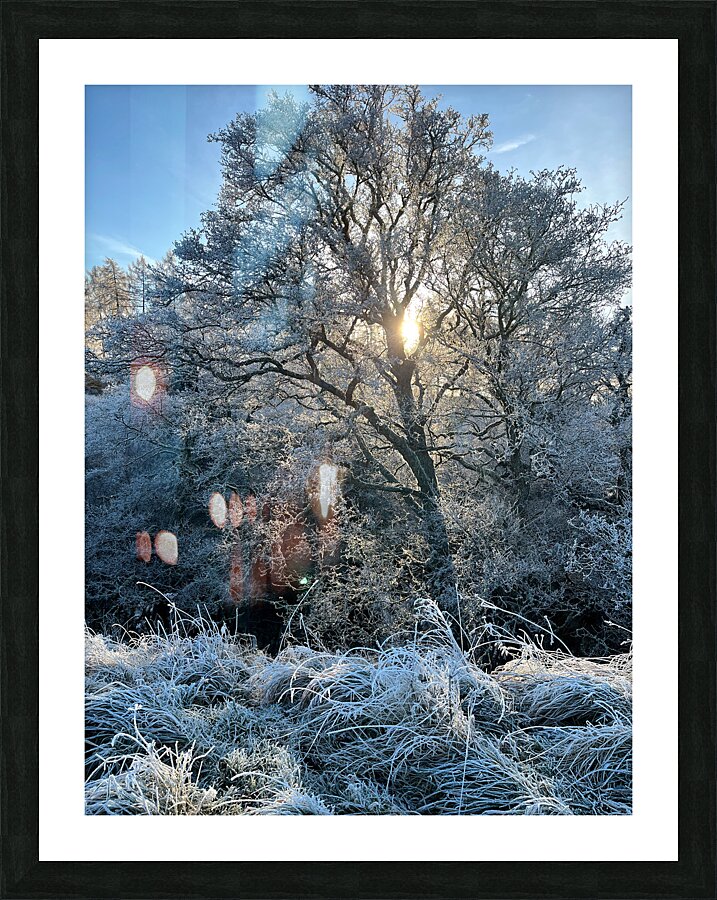 Frosty Morning in the Scottish Highlands   Picture Frame print