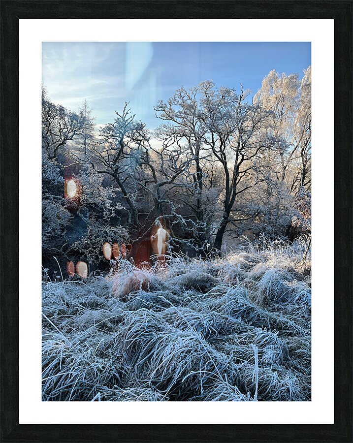Frosty Nature in the Scottish Highlands  Picture Frame print