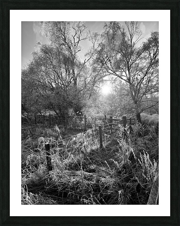 Winters Frosty Embrace for the Scottish Highlands Picture Frame print