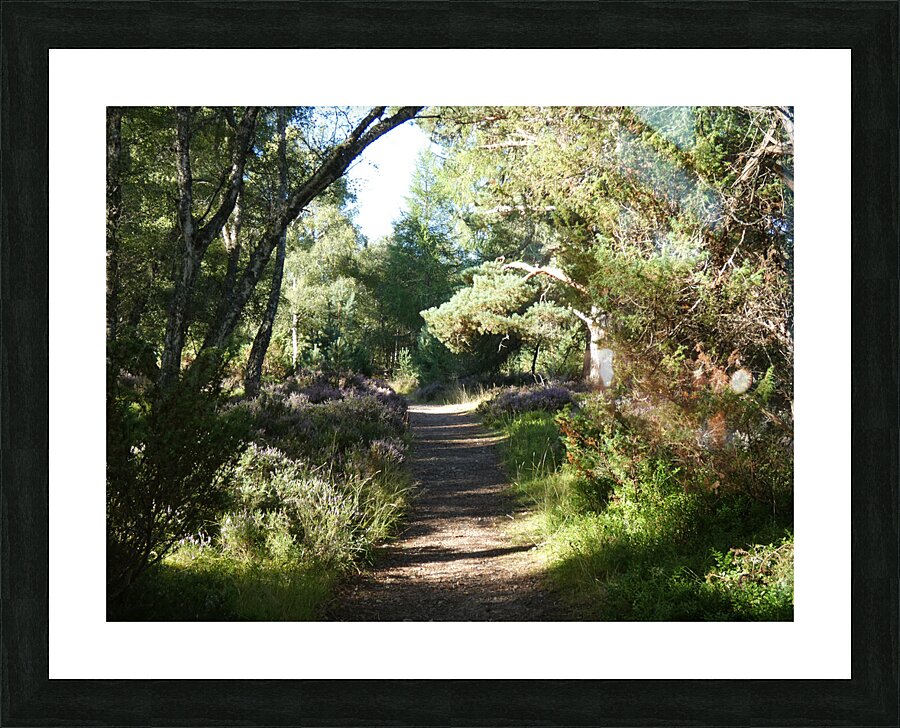 Natures Adventure Path in the Scottish Highlands Picture Frame print