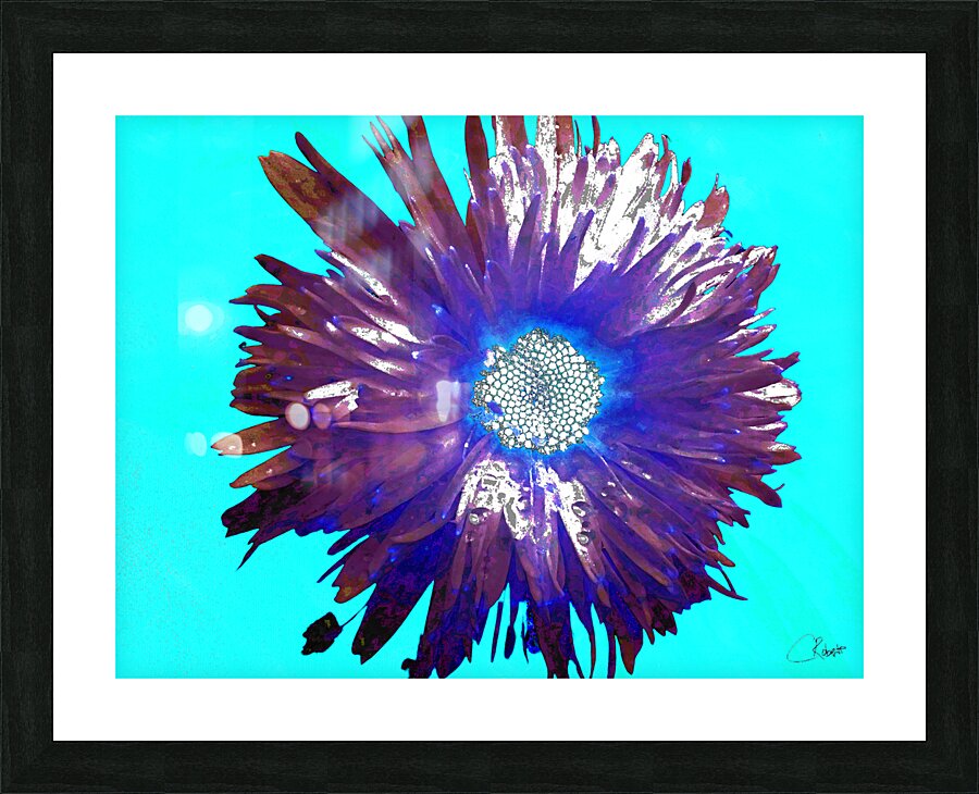 Abstract Purple and Blue Daisy Picture Frame print