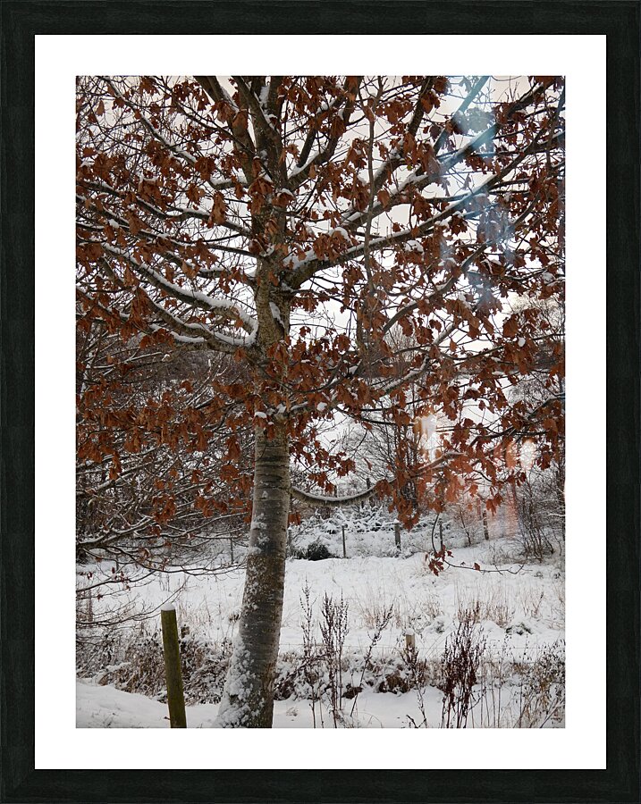 Winter Came Early to the Scottish HIghlands  Picture Frame print