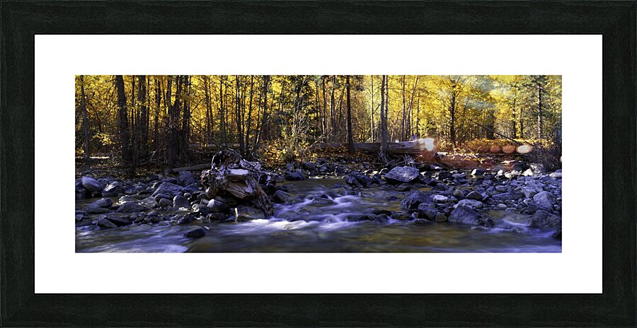 Golden Reverie Picture Frame print