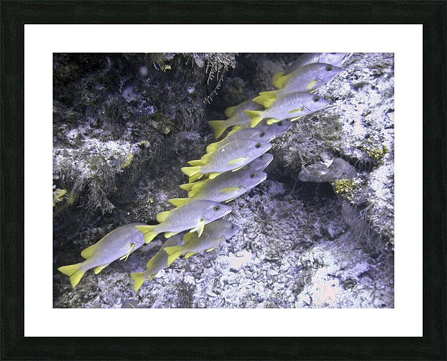 Frowsty Picture Frame print