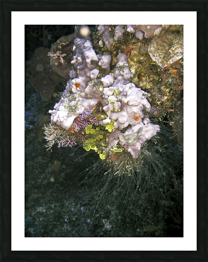 Dehydrator Picture Frame print