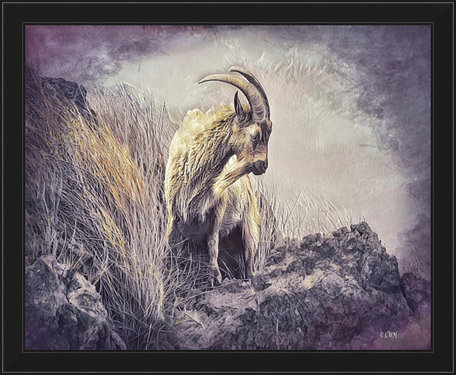 ICON of KONA Holt RezN888  Framed Print Print