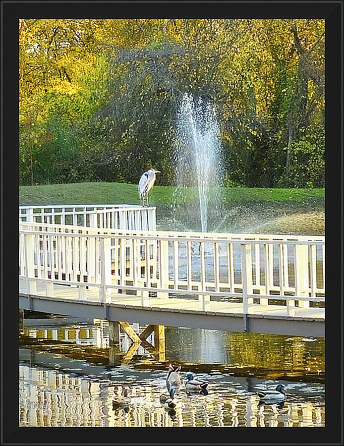 SENTINEL__Holt RezN888  Framed Print Print