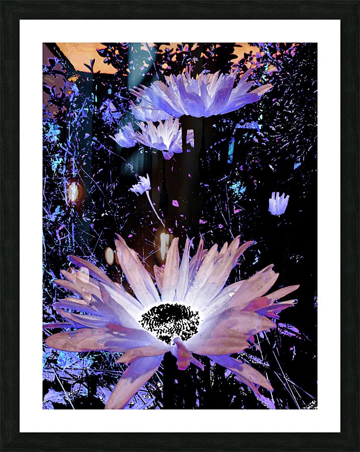 Cool Rocking Surreal Daises  Picture Frame print